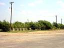 DSC01665.JPG