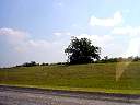 DSC01673.JPG