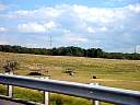 DSC01713.JPG