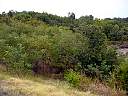 DSC01974.JPG
