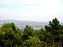 DSC02041.JPG