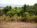 DSC02046.JPG