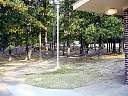 DSC02699.JPG
