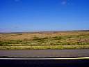 DSC03004.JPG