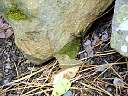 DSC02057.JPG