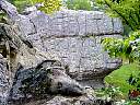 DSC02062.JPG