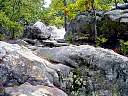 DSC02069.JPG