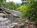 DSC02070.JPG