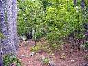 DSC02106.JPG