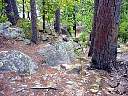 DSC02113.JPG
