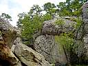 DSC02122.JPG