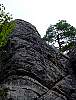 DSC02131.JPG