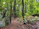 DSC02138.JPG