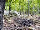 DSC02142.JPG