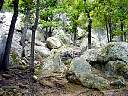 DSC02143.JPG