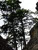 DSC02152.JPG
