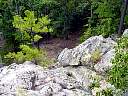 DSC02155.JPG