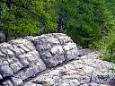 DSC02158.JPG