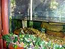 DSC02170.JPG