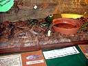 DSC02174.JPG