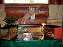 DSC02180.JPG