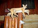 DSC02183.JPG