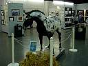 DSC03060.JPG