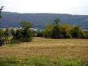 DSC01993.JPG