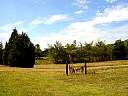 DSC02244.JPG