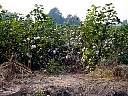 DSC02305.JPG