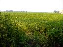 DSC02307.JPG