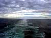 DSC01438.JPG