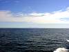 DSC01482.JPG