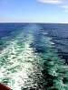 DSC01510.JPG