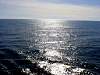 DSC01513.JPG