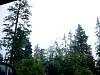 DSC01649.JPG