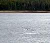 DSC01950.JPG