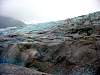 DSC02155.JPG