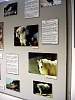 DSC02251.JPG
