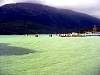 DSC02441.JPG