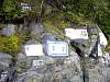 DSC02448.JPG