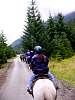 DSC02459.JPG