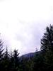 DSC02461.JPG
