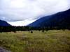 DSC02480.JPG