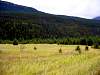 DSC02487.JPG