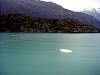 DSC02558.JPG