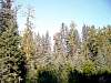 DSC03097.JPG