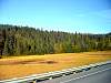 DSC03104.JPG