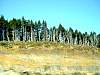 DSC03107.JPG
