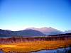 DSC03117.JPG